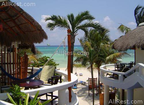 Playa Palms Beach Hotel 4
